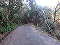 bizan097_thumb.png