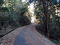 bizan098_thumb.png