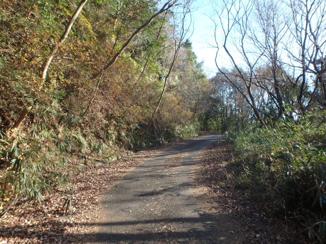 bizan099.jpg