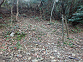 bizan06_thumb.png