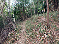 bizan10_thumb.png