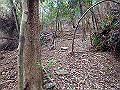 bizan34_thumb.png