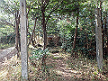 bizan46_thumb.png