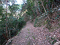 bizan09_thumb.png