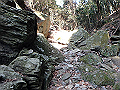 bizan19_thumb.png