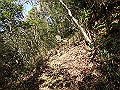 bizan36_thumb.png