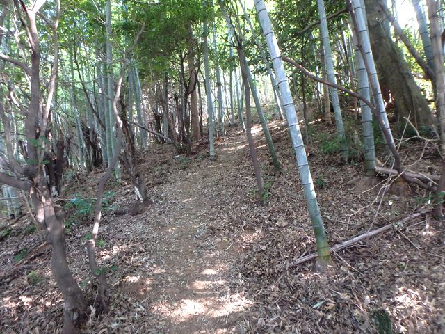bizan08.jpg