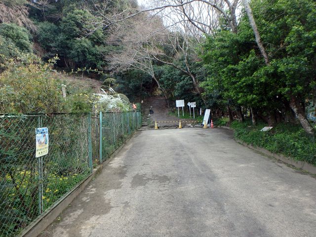 bizan05.jpg