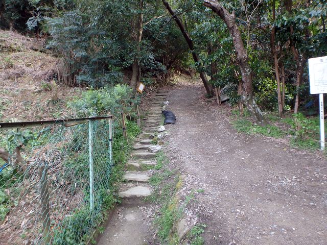 bizan06.jpg