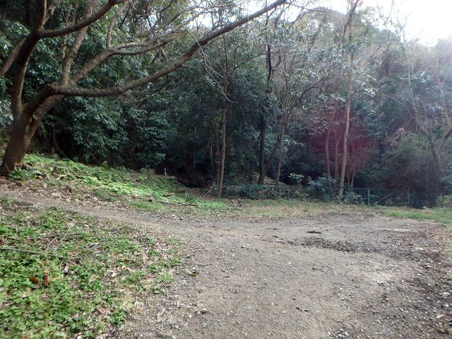 bizan08.jpg
