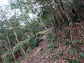 bizan58_thumb.png