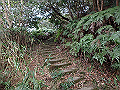 bizan74_thumb.png