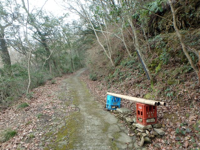 bizan49.jpg