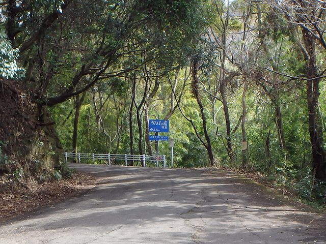bizan34.jpg