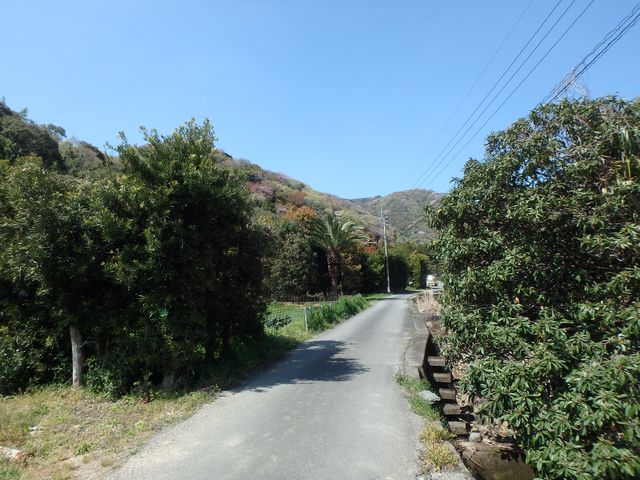 bizan06.jpg