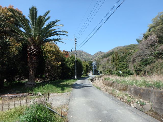 bizan07.jpg