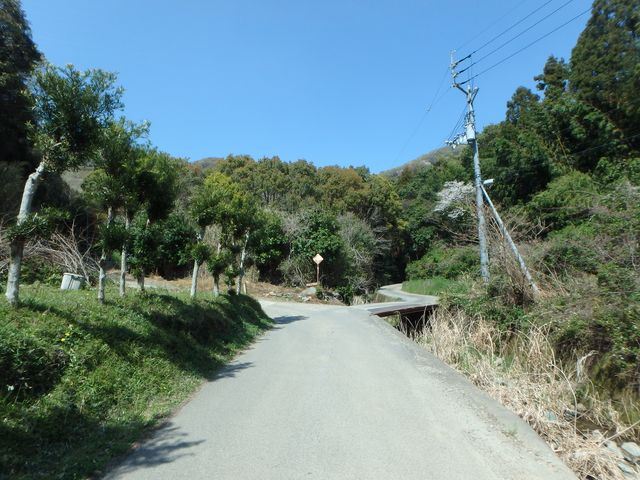 bizan13.jpg