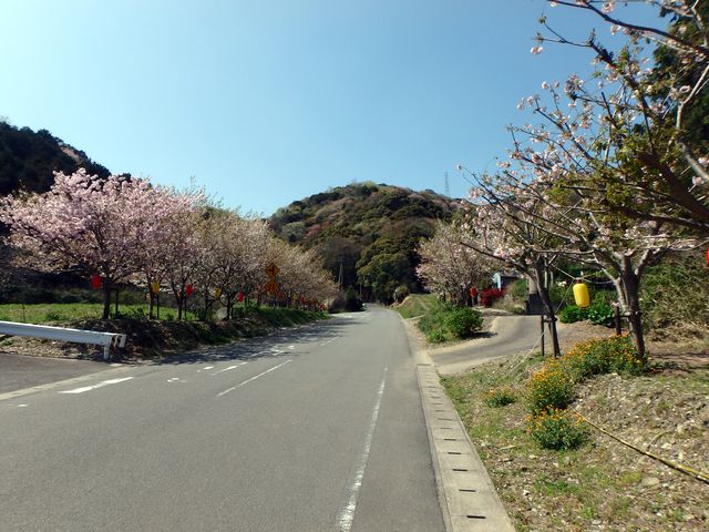 bizan05.jpg