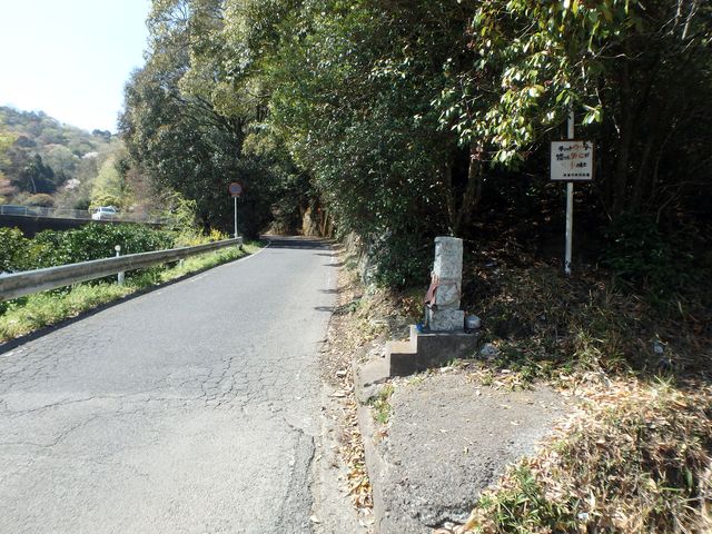 bizan06.jpg