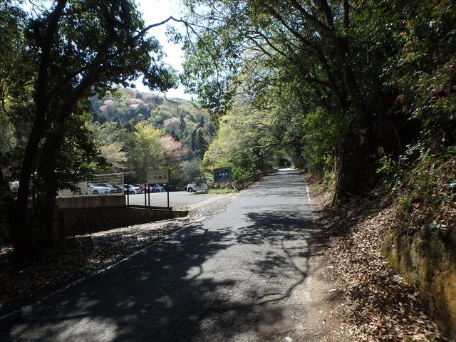 bizan07.jpg