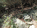 bizan28_thumb.png