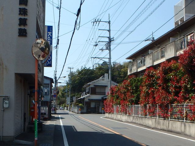 bizan02.jpg