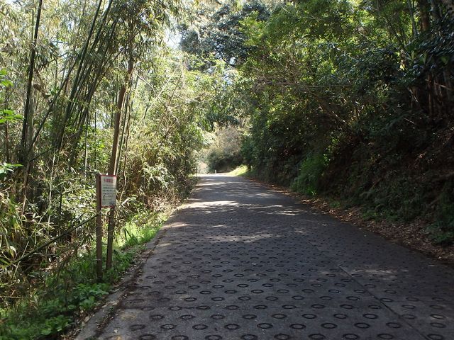 bizan06.jpg