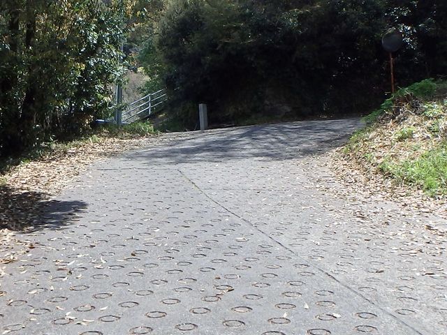 bizan07.jpg