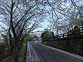 bizan20_thumb.png
