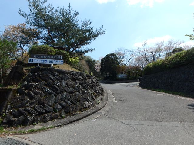 bizan01.jpg