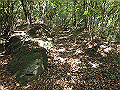 bizan09_thumb.png