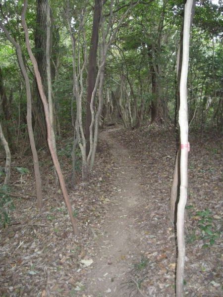 bunmori62.jpg