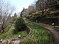 bunmori009_thumb.png