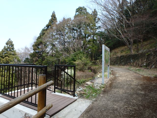 bunmori010.jpg