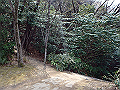 bunmori015_thumb.png