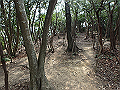 bunmori017_thumb.png