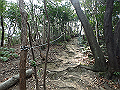 bunmori018_thumb.png