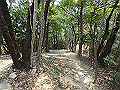 bunmori021_thumb.png