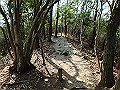 bunmori024_thumb.png