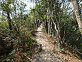 bunmori029_thumb.png