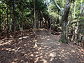 bunmori032_thumb.png