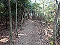 bunmori033_thumb.png