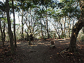 bunmori034_thumb.png