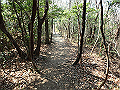 bunmori035_thumb.png