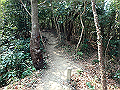bunmori036_thumb.png