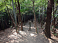 bunmori038_thumb.png