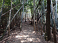 bunmori039_thumb.png