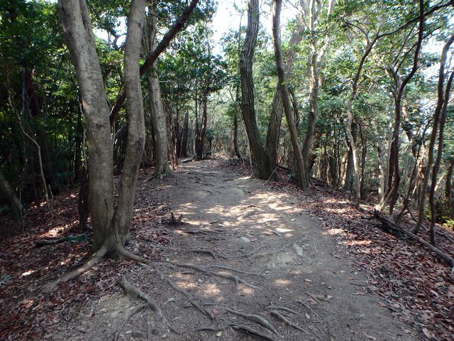 bunmori040.jpg