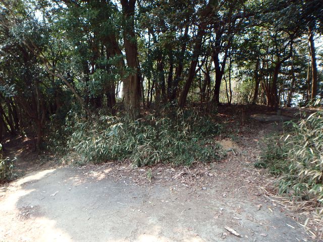 bunmori043.jpg