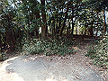 bunmori043_thumb.png